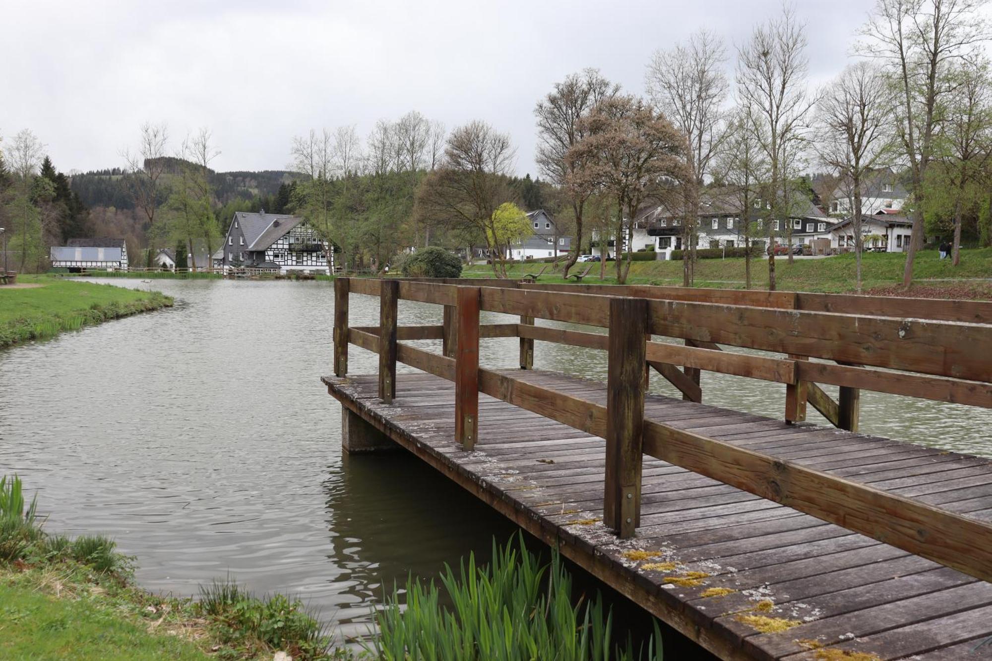 Direkt Am See Winterberg Elkeringhausen Екстериор снимка